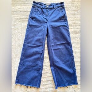 Everlane Wide Leg Raw Hem Pants - Size 2